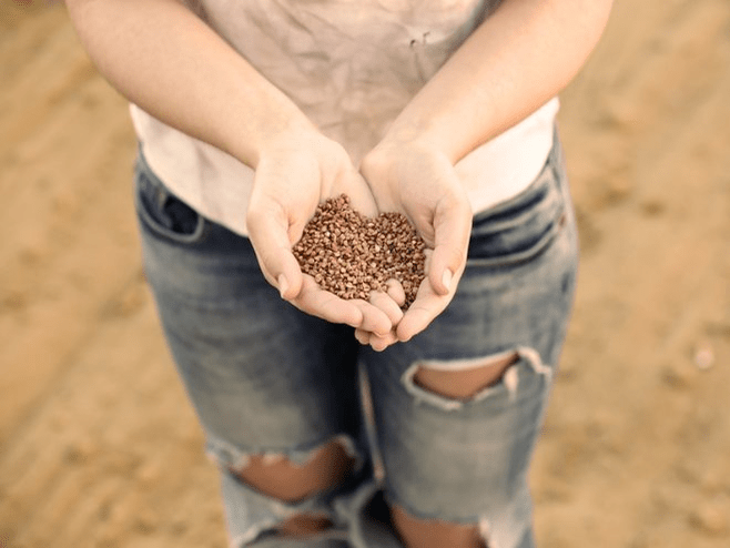 I benefici del grano saraceno